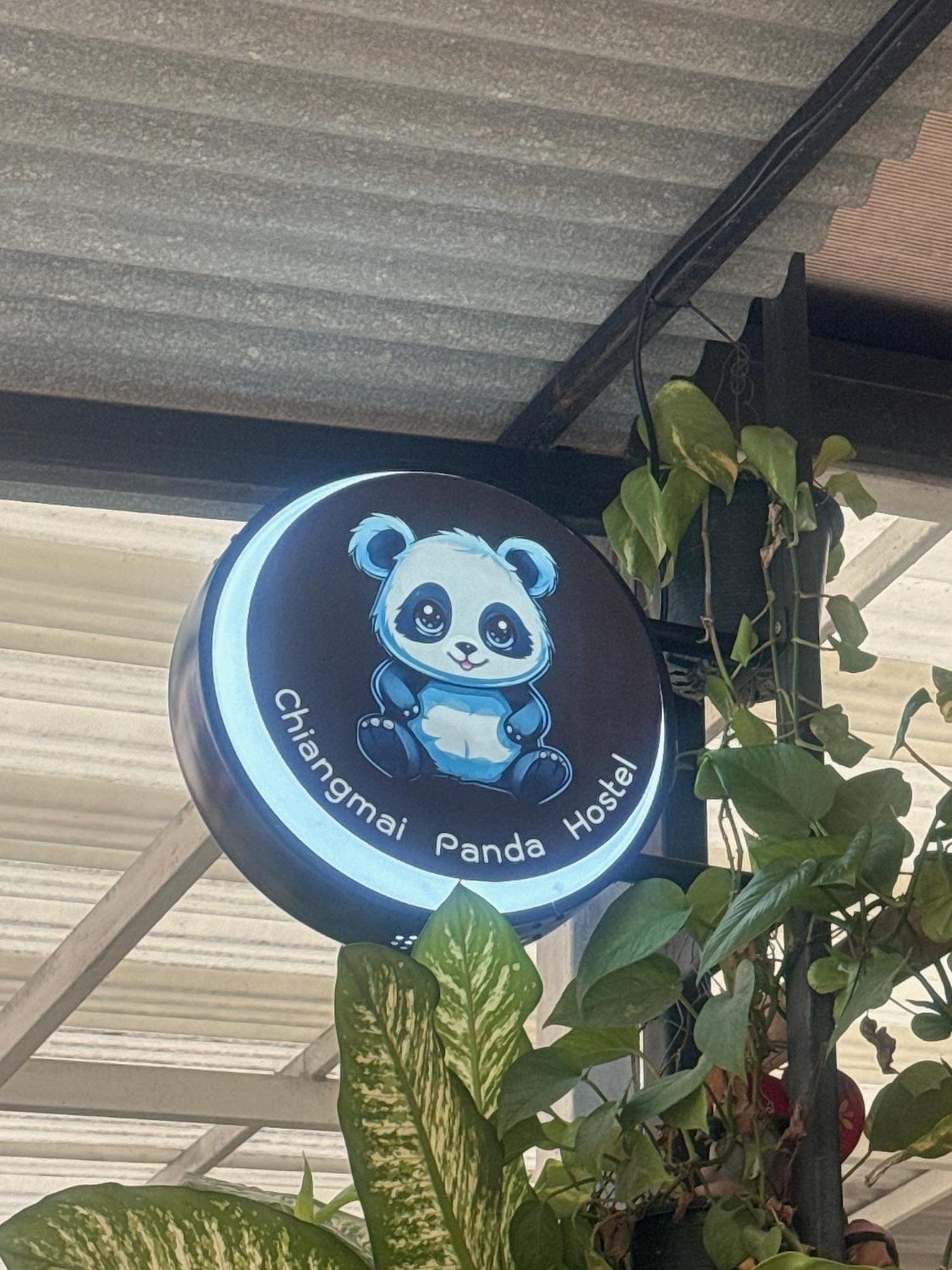 Chiang Mai Panda Hostel Extérieur photo