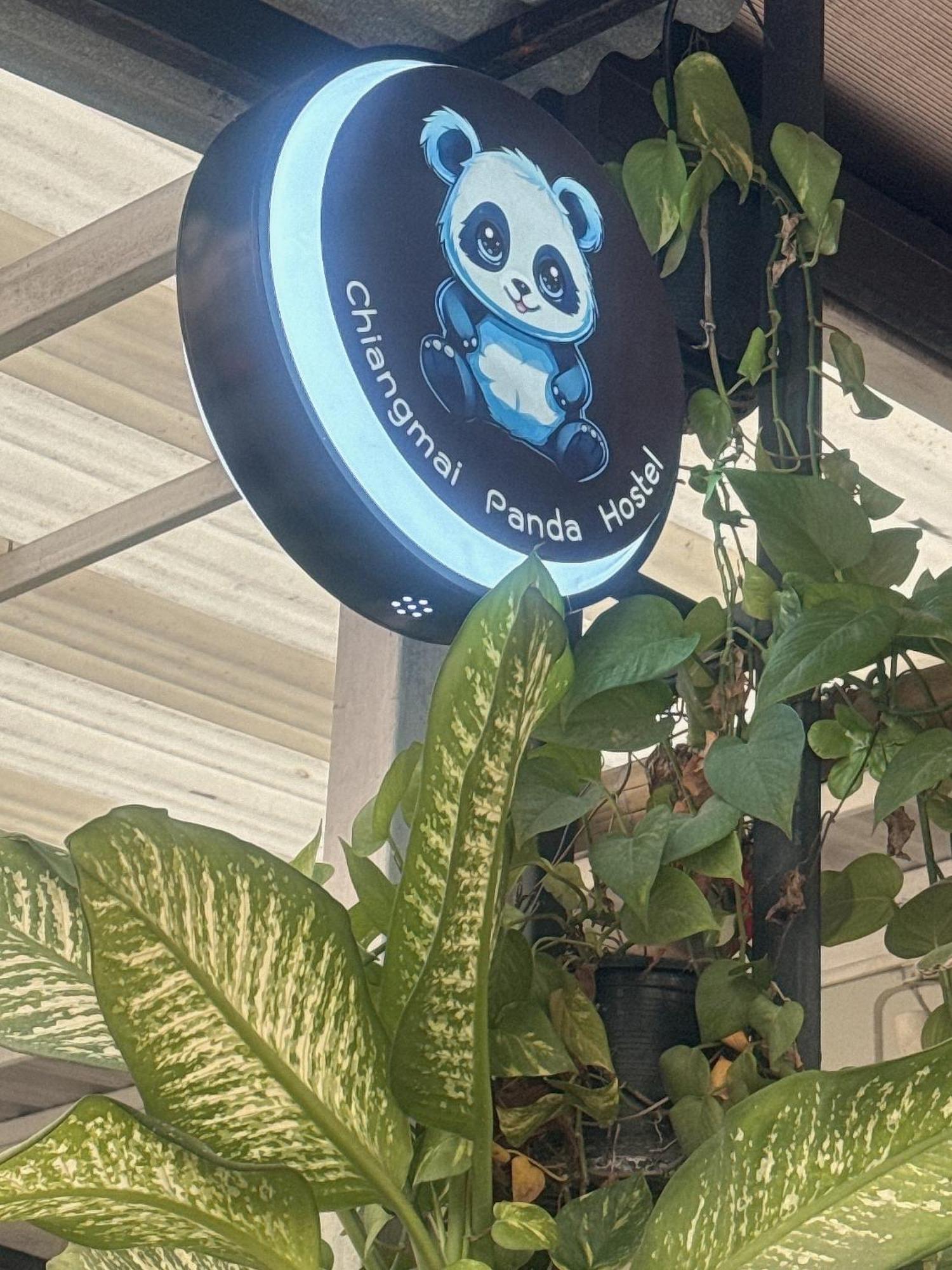 Chiang Mai Panda Hostel Extérieur photo